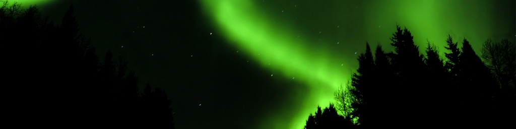 Beneath the Dreaming Trees