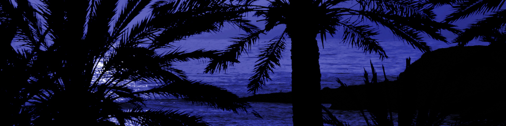 Equatorial Midnight — immersive nature recording by Naturespace