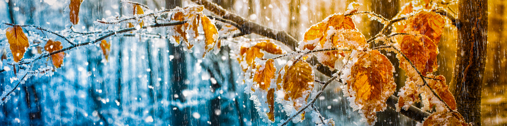 Fahrenheit 33 — immersive nature recording by Naturespace