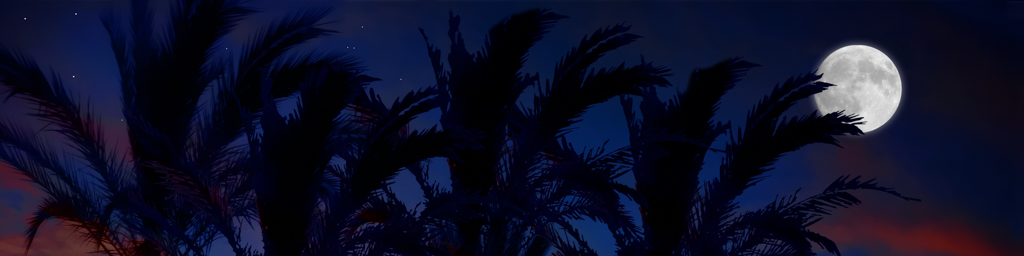 Luar — immersive nature recording by Naturespace