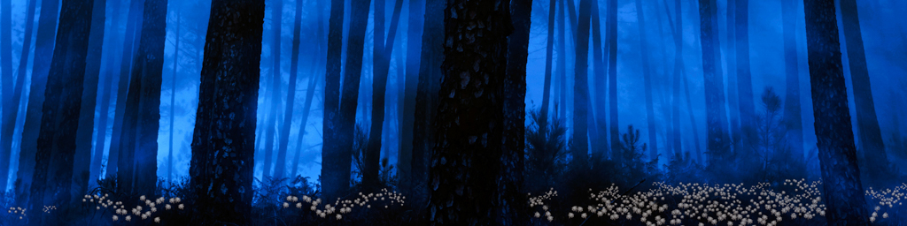 Saga of the Moonflowers