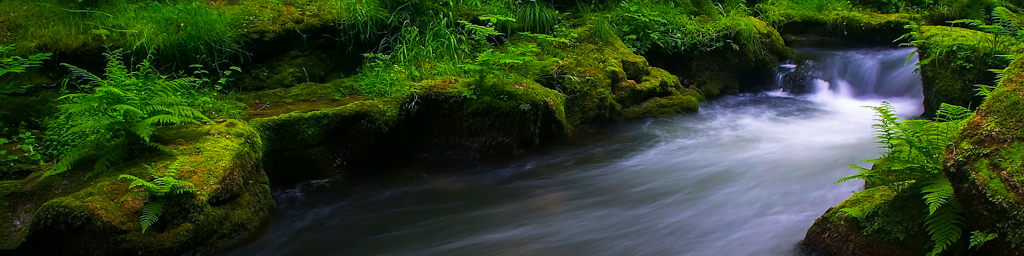 Stream of Consciousness