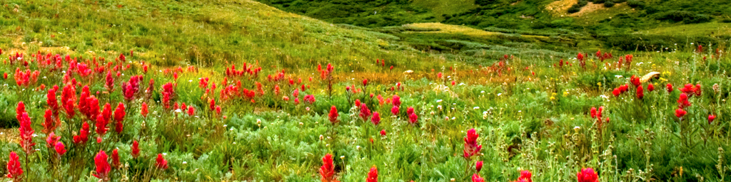 Summer Mountain Valley