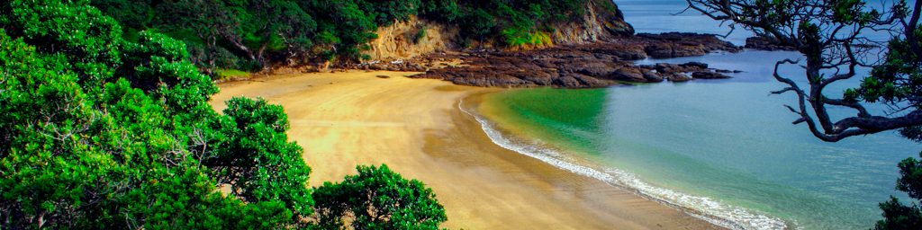 The Beach — immersive nature recording by Naturespace