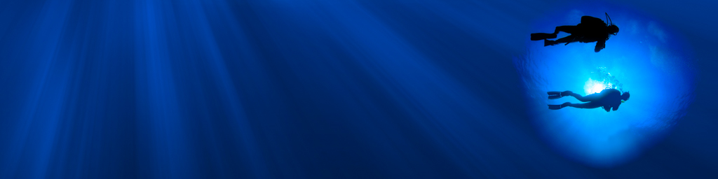 La inmersión — immersive nature recording by Naturespace