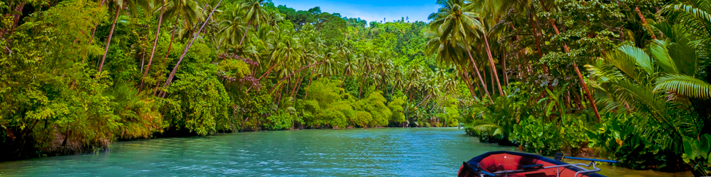 The Search — immersive nature recording by Naturespace