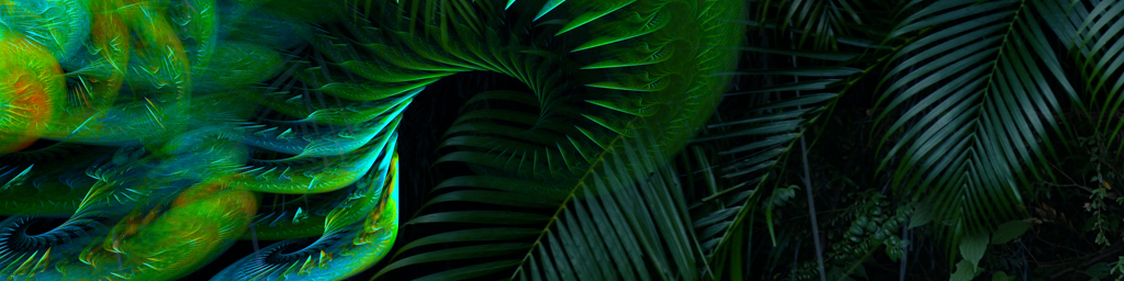 The Secret — immersive nature recording by Naturespace