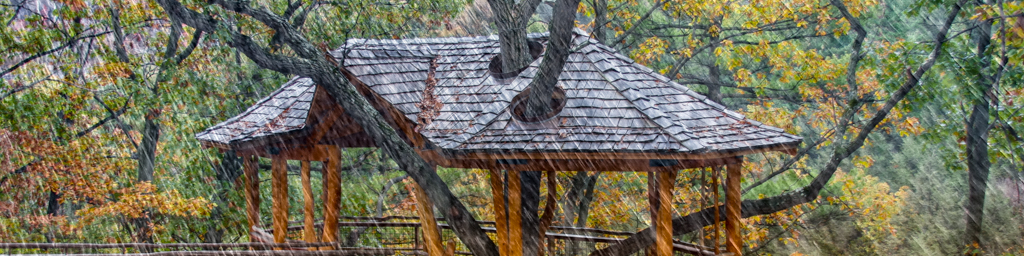 Treehouse Rain