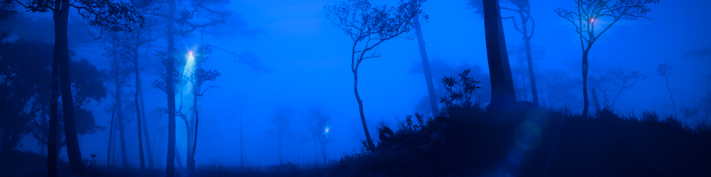 숲의 파수자들 — immersive nature recording by Naturespace